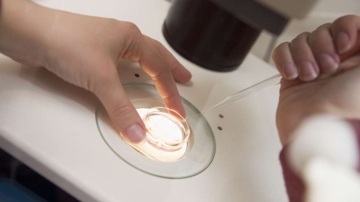 In-vitro-Fertilisation (IVF)